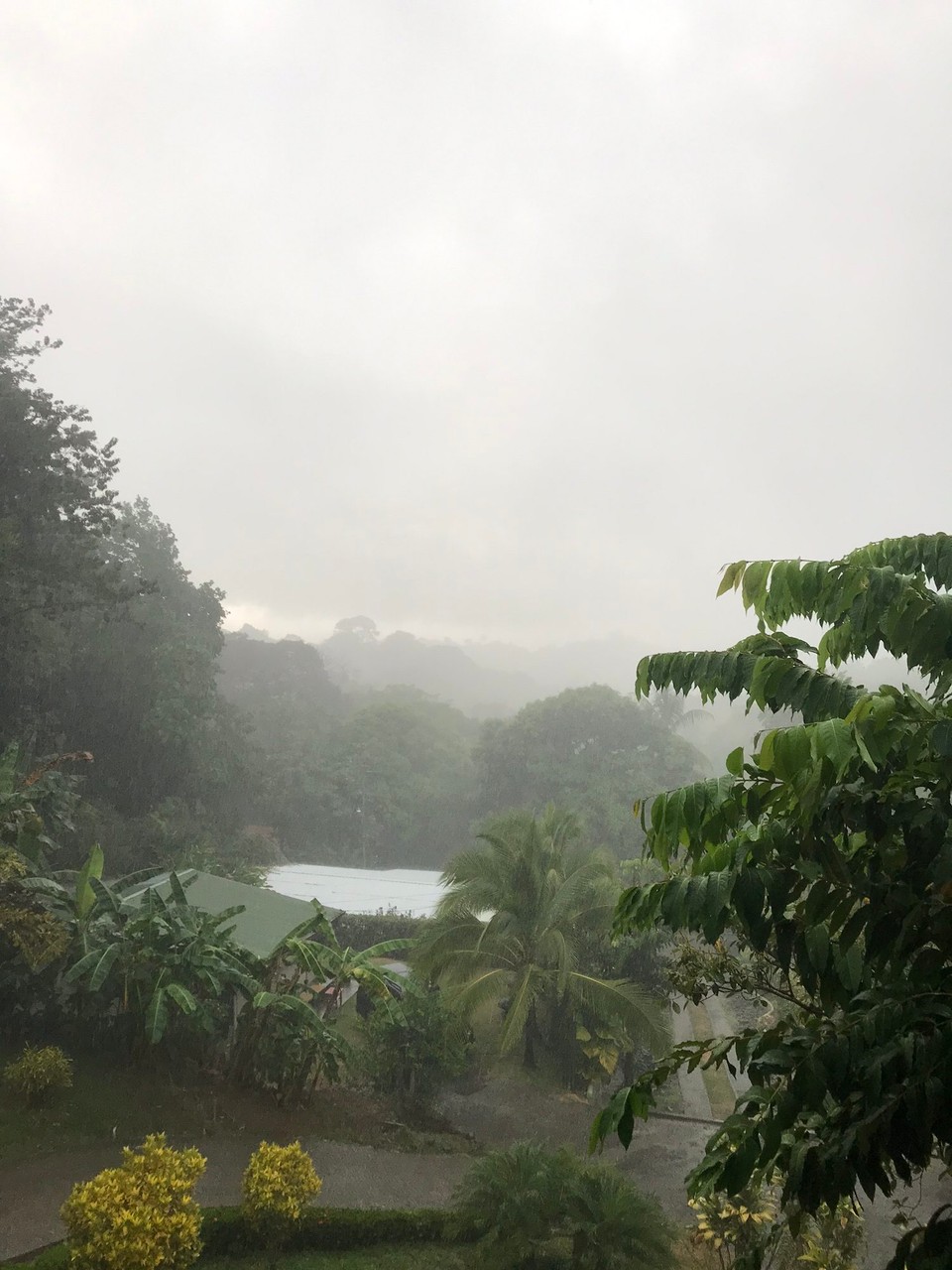 Costa Rica - Quepos - regnerischer Tag im Regenwald