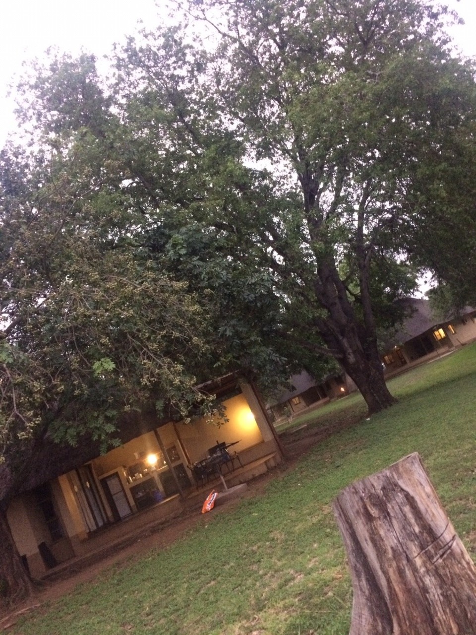 Südafrika -  - 
