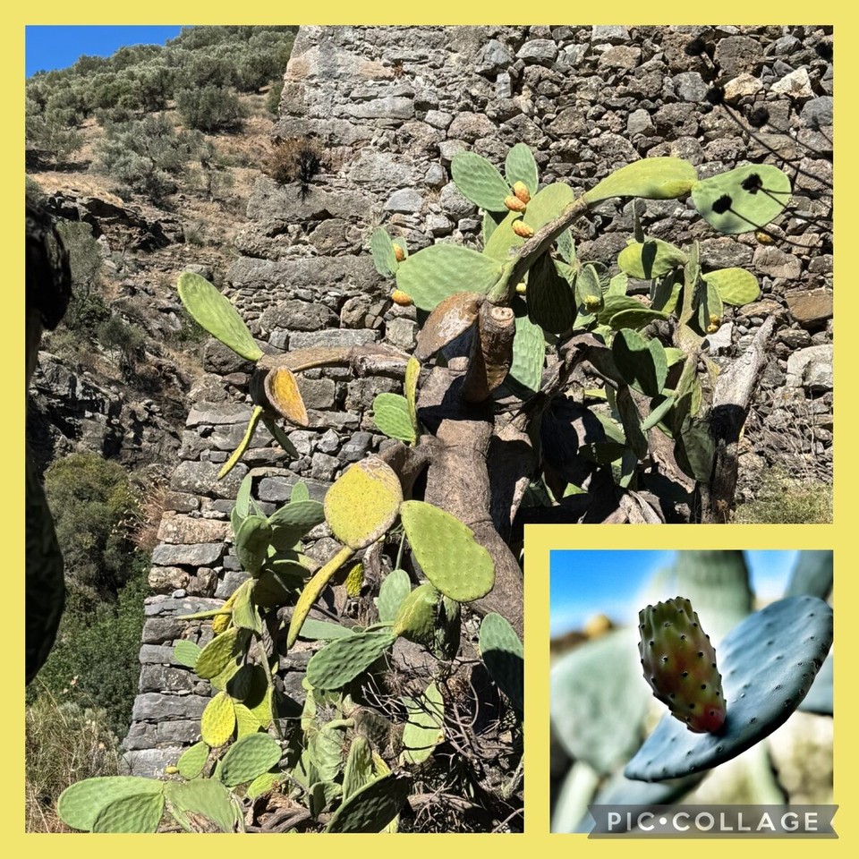 Griechenland - Myrthios - 
