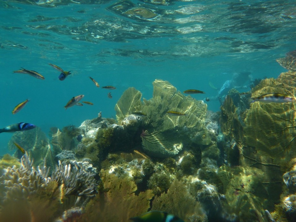 Antigua und Barbuda - Antigua and Barbuda - 