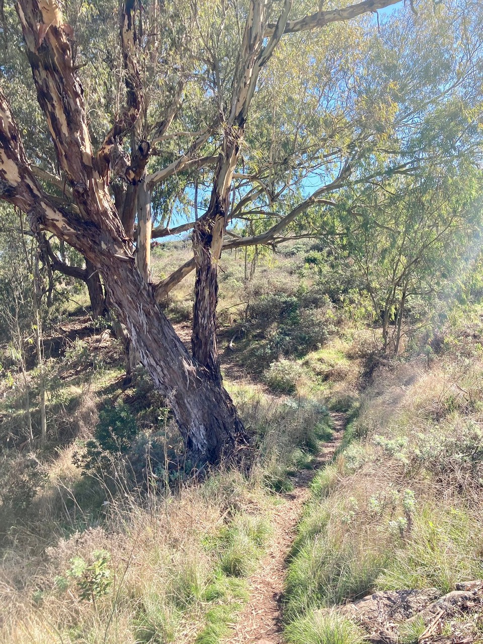 Spanien - Valleseco - 