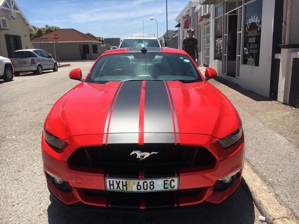 Südafrika - Port Elizabeth - alles irgendwie neben ... 