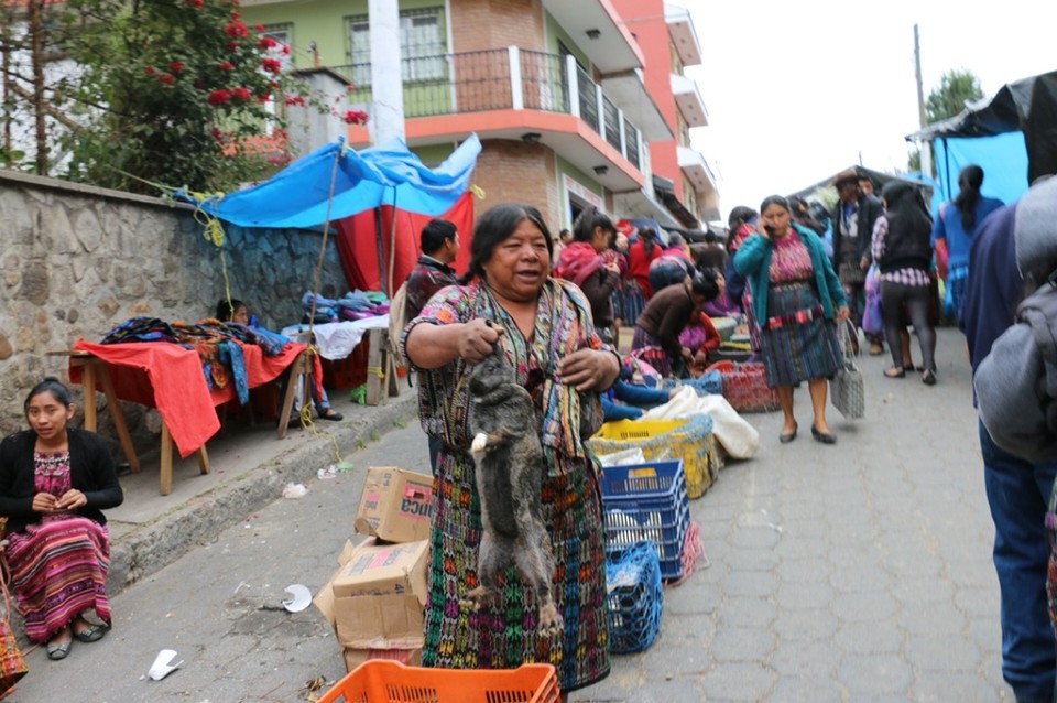 Guatemala - Chichicastenango - Seht ihr den Hasen? 
