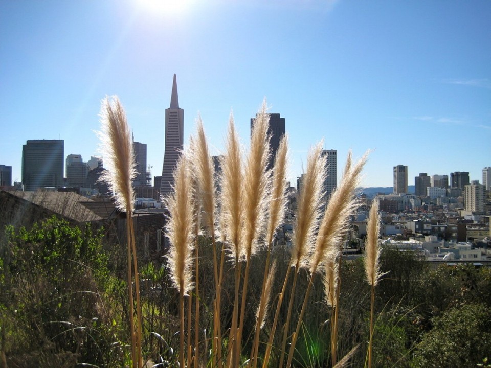 United States - San Francisco - 