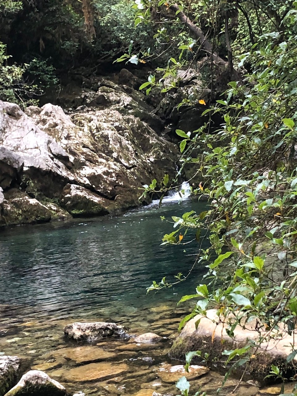 Neuseeland - Upper Moutere - Quelle des Riwaka River mit tollem Quellwasser