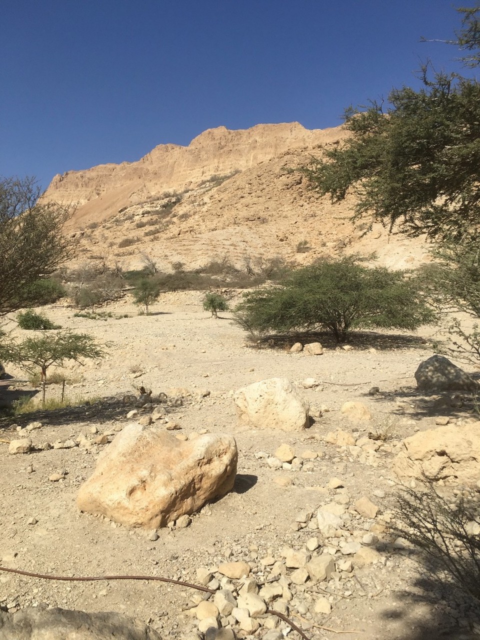 Israel - Ein Gedi - 