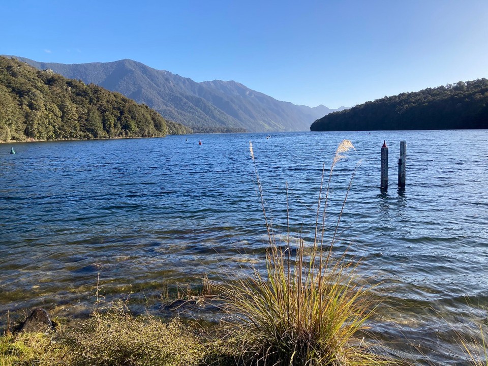 Neuseeland - Fiordland National Park - 