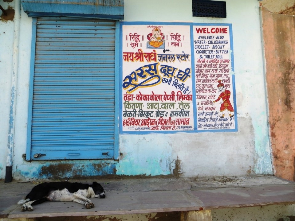 India - Pushkar - 
