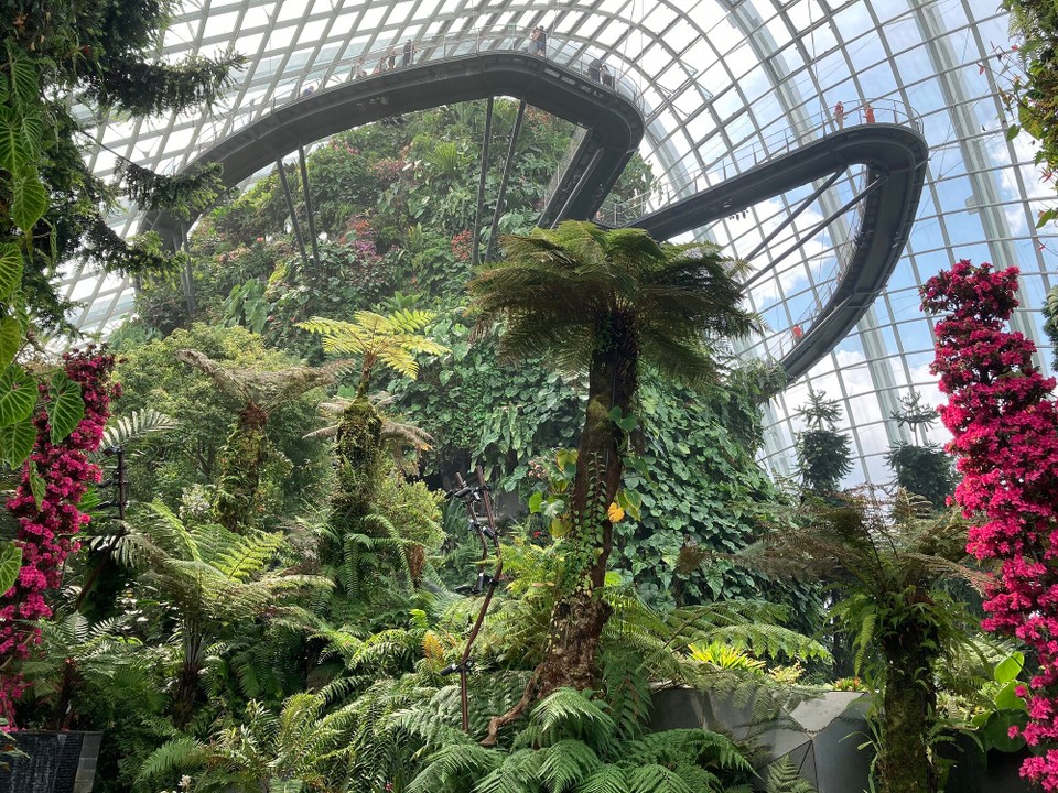 Singapur - Singapur - 