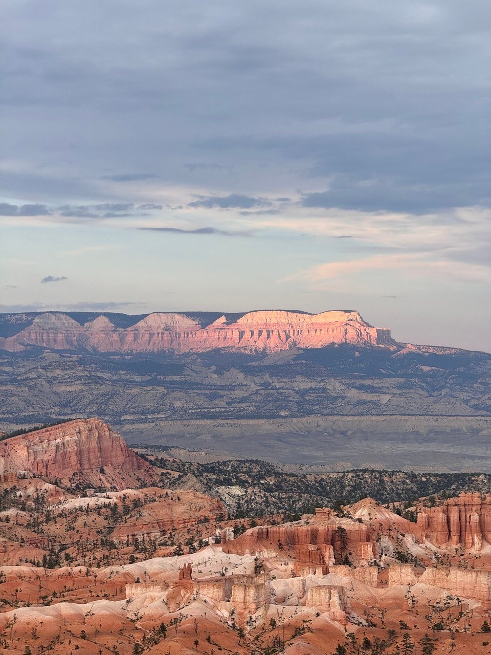 Vereinigte Staaten - Tropic - 