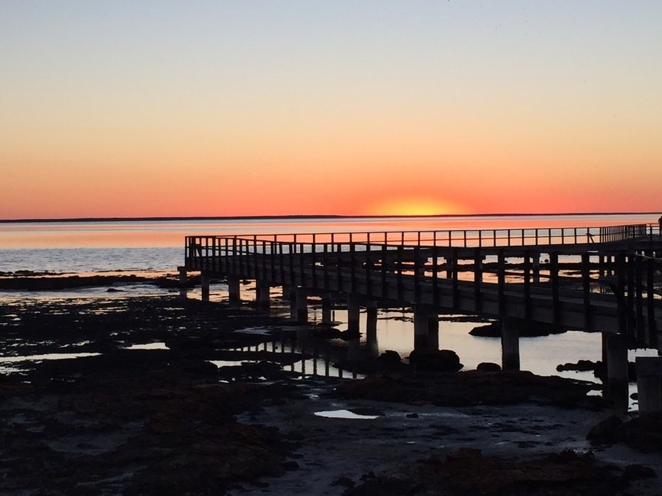  - Australia, Hamelin Pool - 