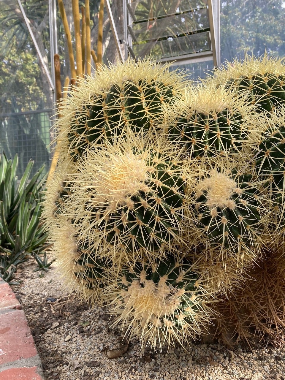 Neuseeland - Gisborne - 