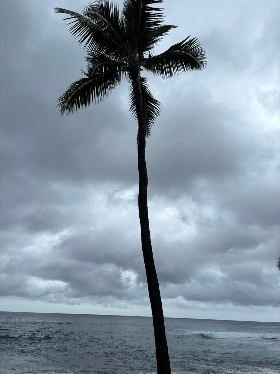 Vereinigte Staaten - Kailua Kona - 