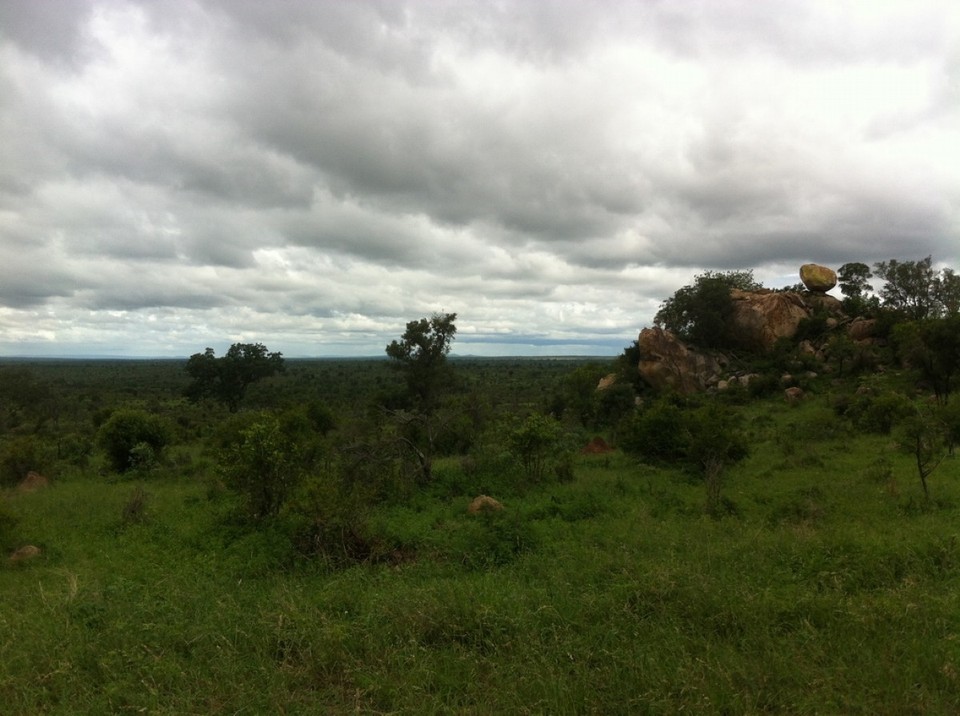 Südafrika - Kruger Park - Von einigen Anhöhen hat man sehr weite Sicht in die Tiefen des Krüger Parks,..., irgendwo da hinten sind Elefanten, Krokodile und Wasserbüffel...