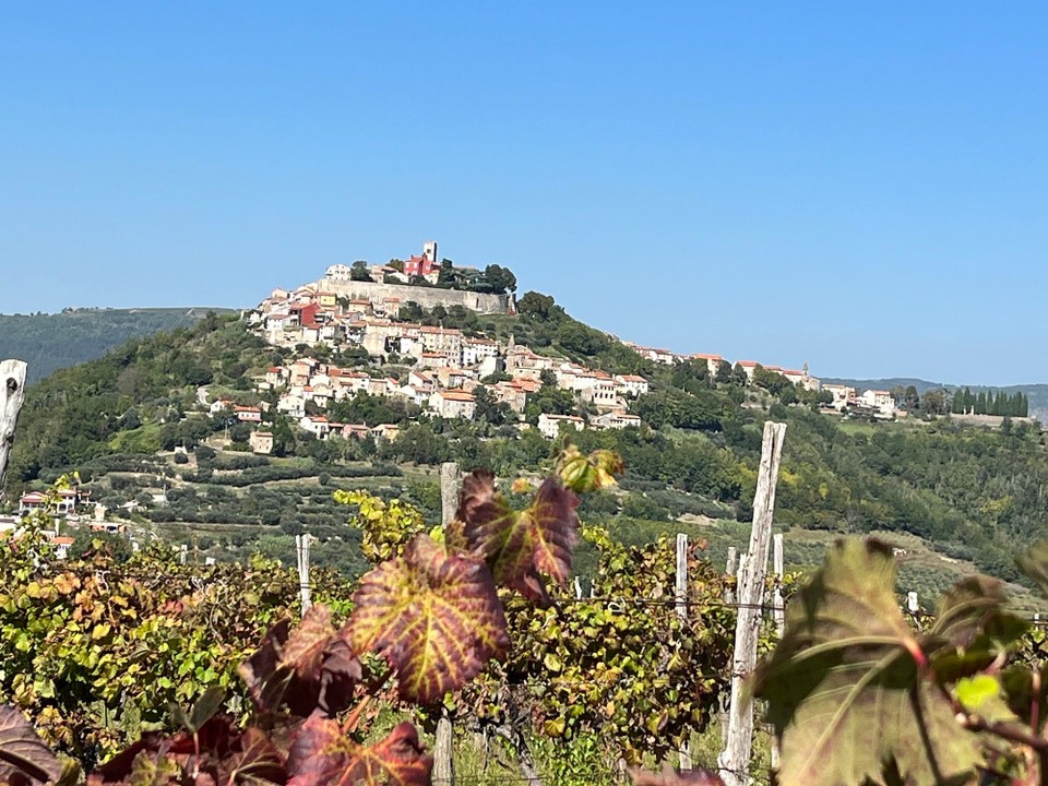 Kroatien - Motovun - 