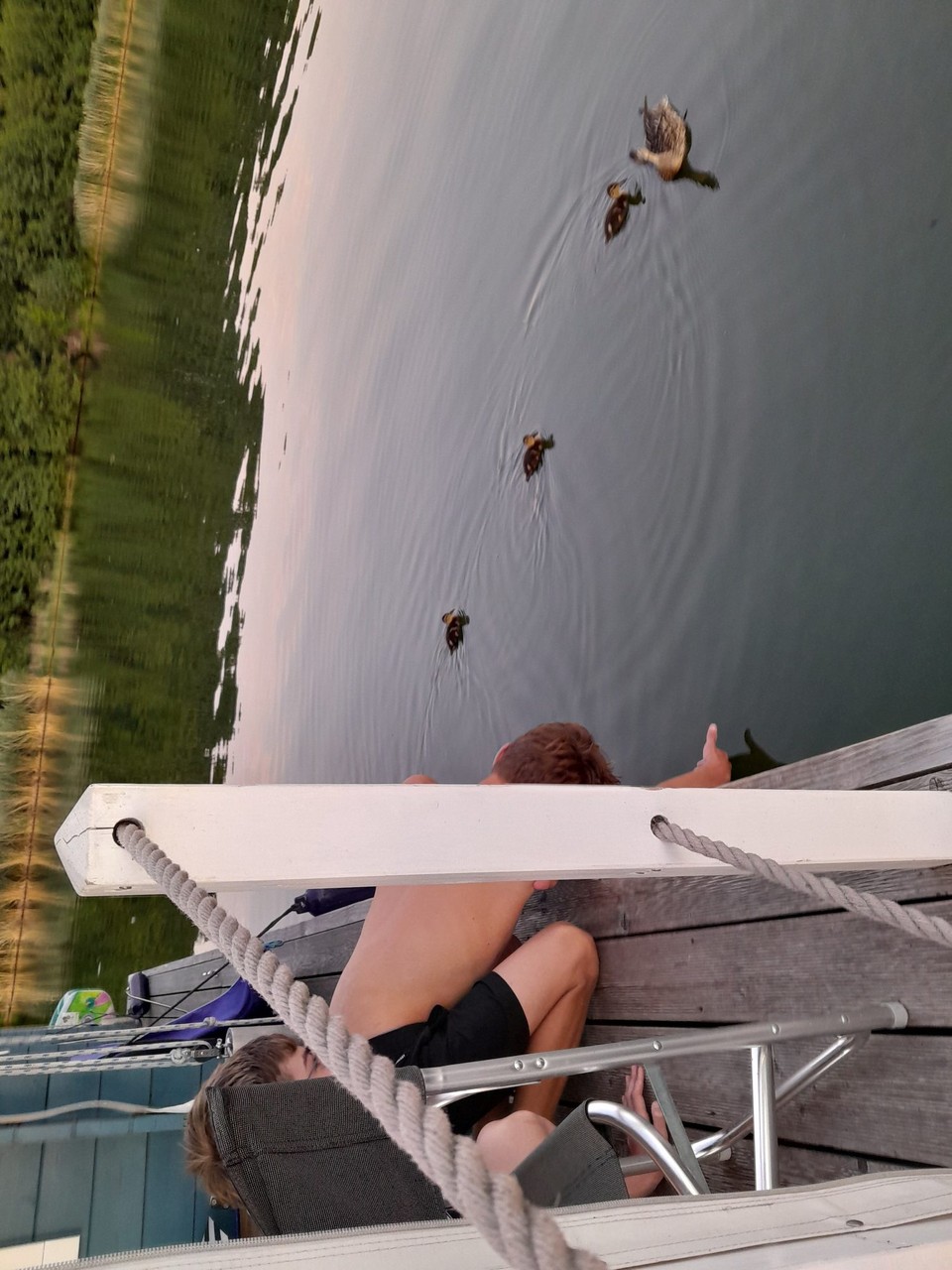 Deutschland - Heidesee - der Entenflüsterer