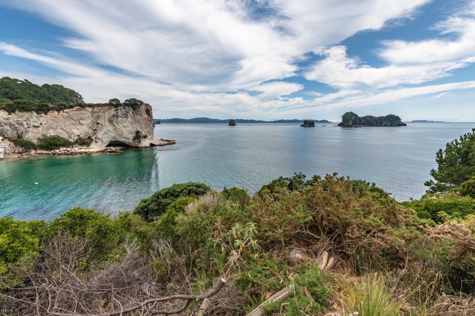 Neuseeland - Waitomo Central - 