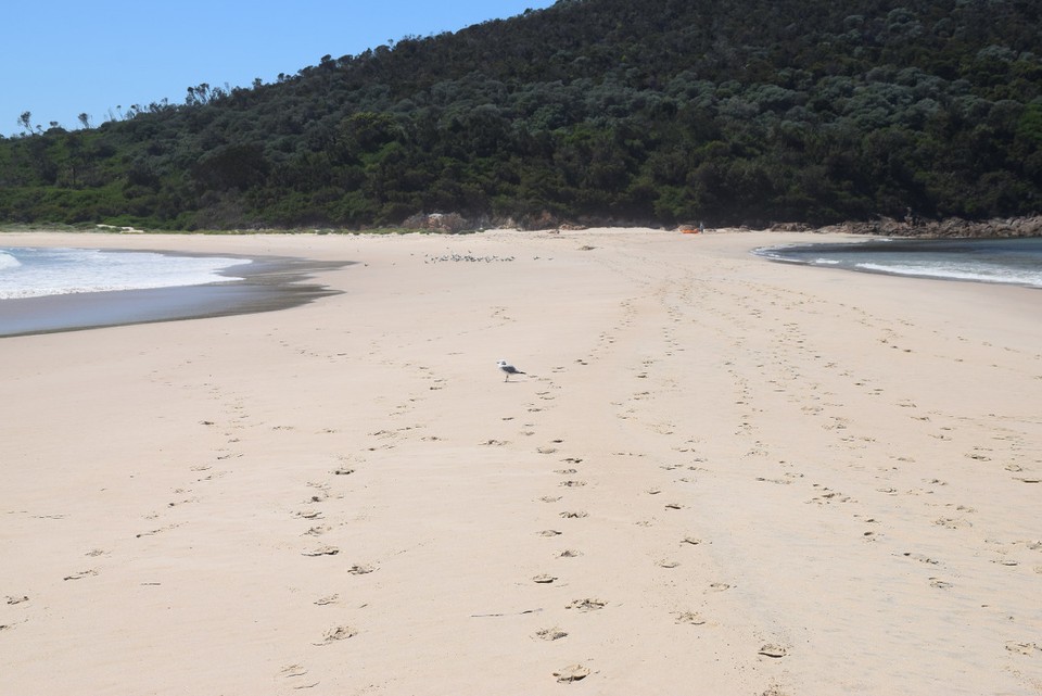 Australien - Port Stephens - Wir sind schon fast da!