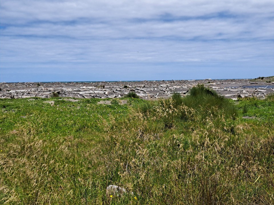 Neuseeland - Koitiata - 