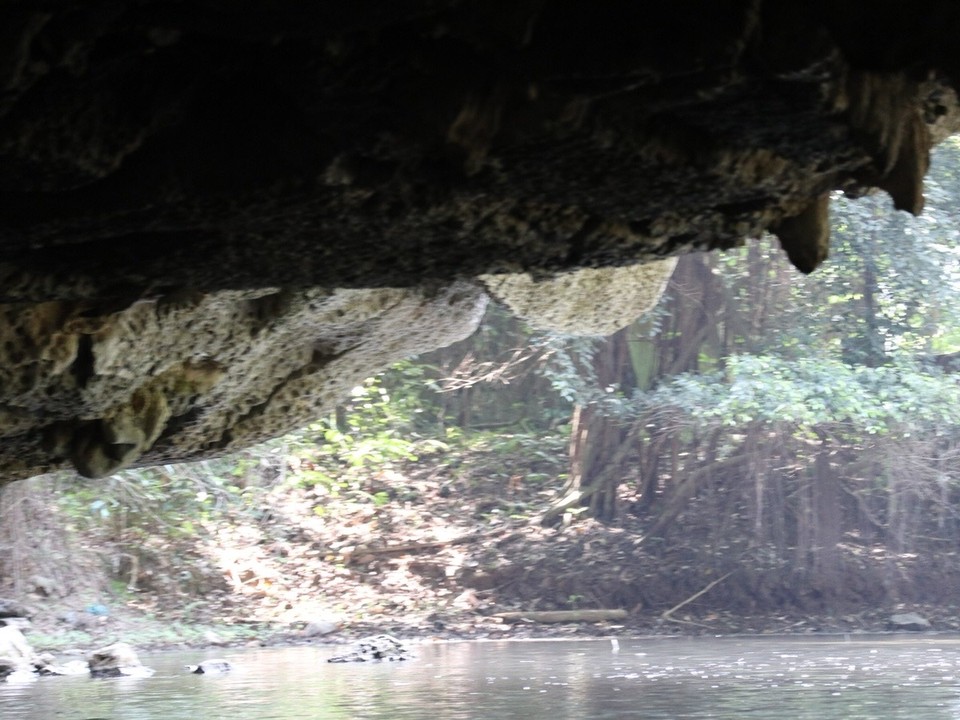 Vietnam - Ninh Bình - 