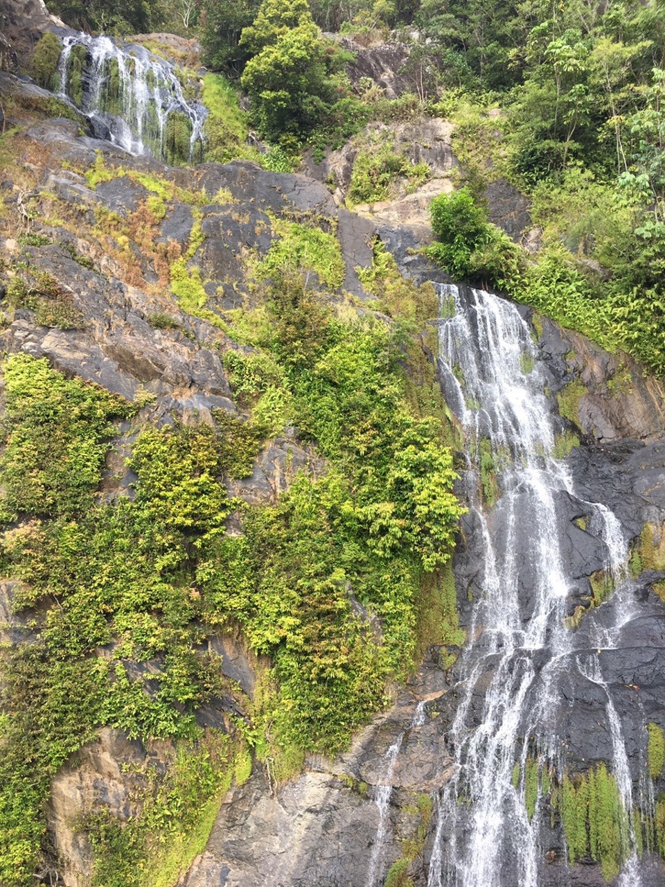 Ausztrália - Kuranda - 