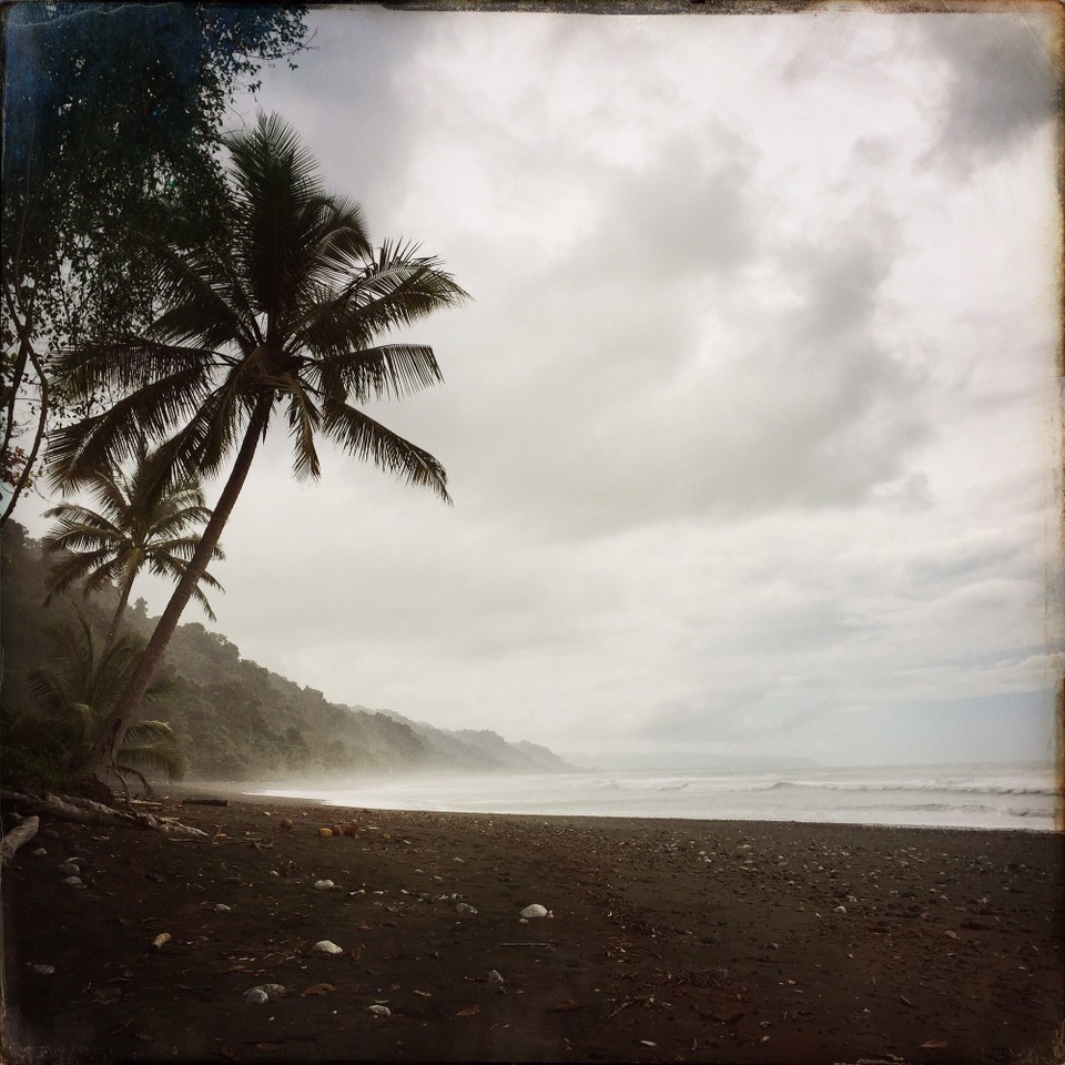 Costa Rica - Osa - 