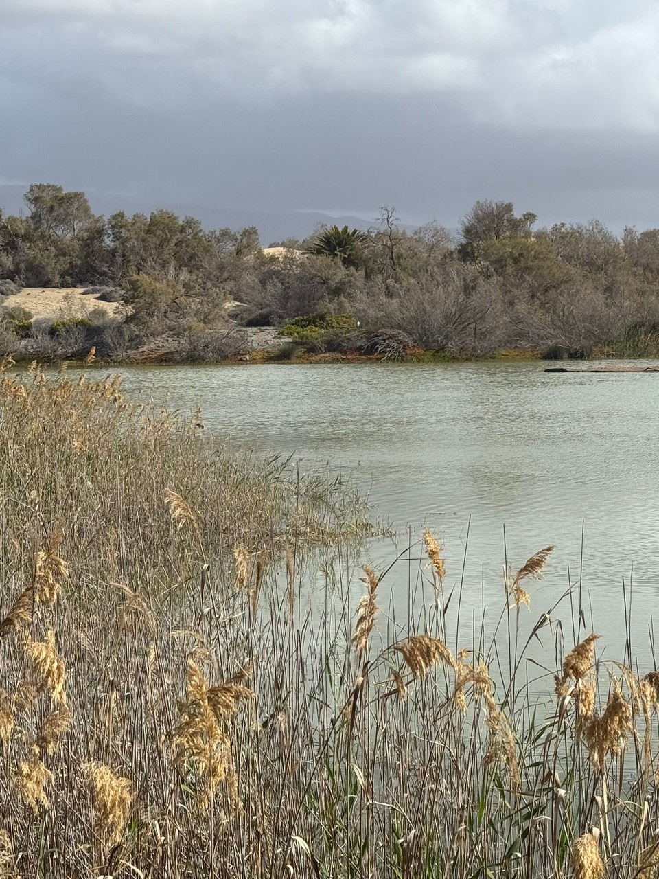 Spanien - Las Palmas de Gran Canaria - 
