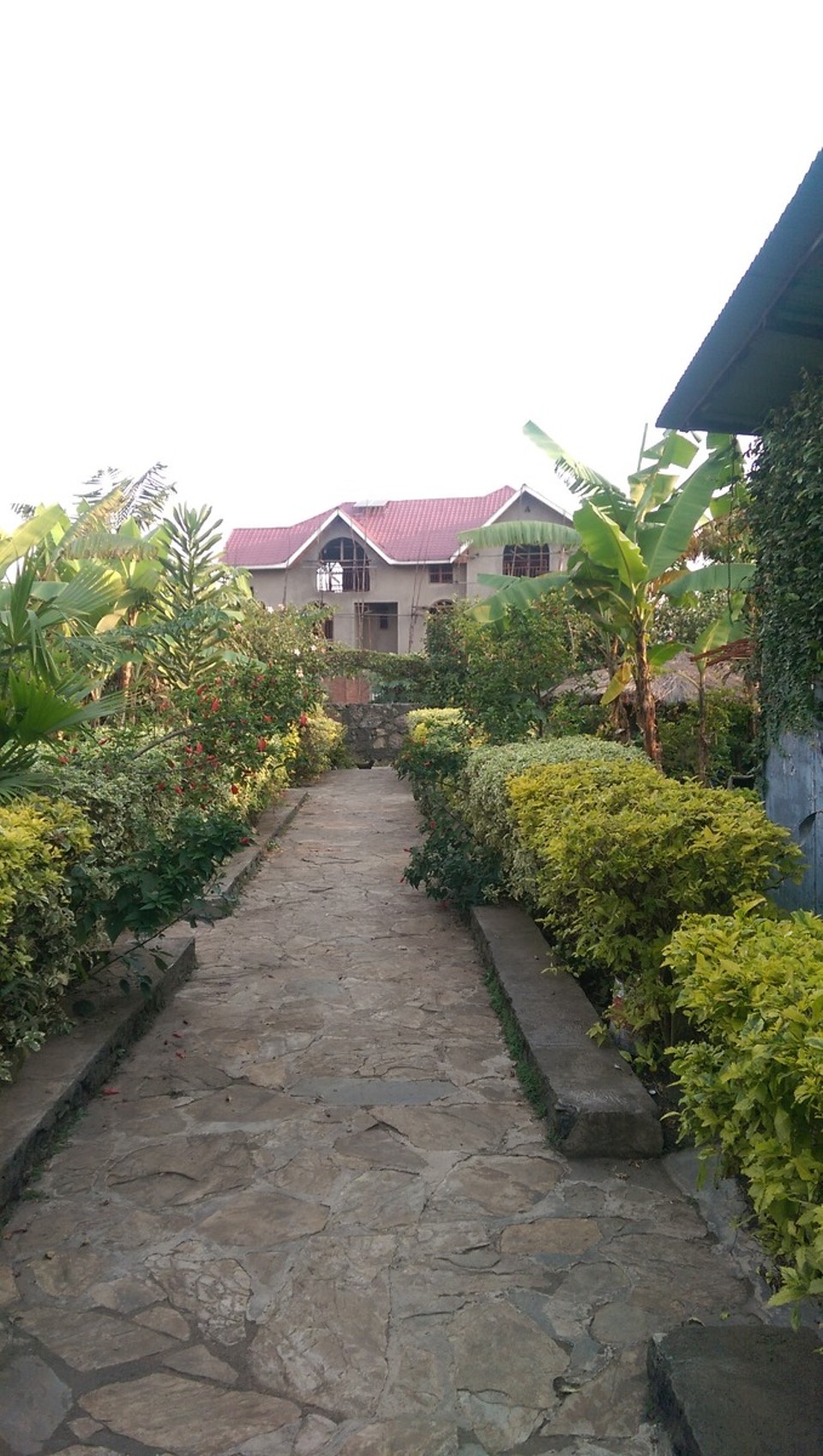 Demokratische Republik Kongo - Goma - Eine kleine Oase mitten in Goma. Hier werden Pflanzen gezüchtet um sie später zu verkaufen.