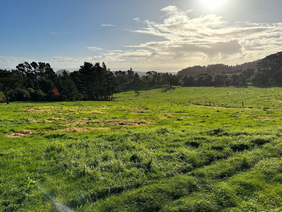 Neuseeland - Mangawhai - Durch grüne Landschaft es wird von km zu km einsamer geht’s an vielen Viewpoint‘s vorbei 