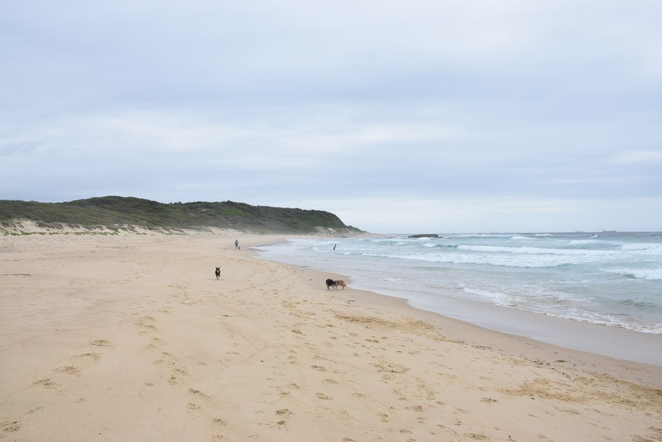 Australien - Lake Macquarie  - Caves Beach