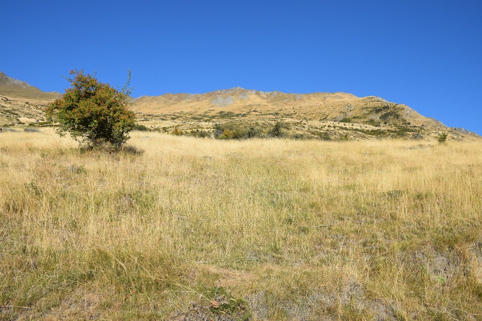 Neuseeland - Wanaka - Ganz nach da oben wollen wir!