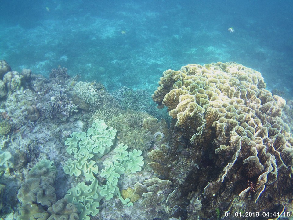 Philippinen - Panglao - 