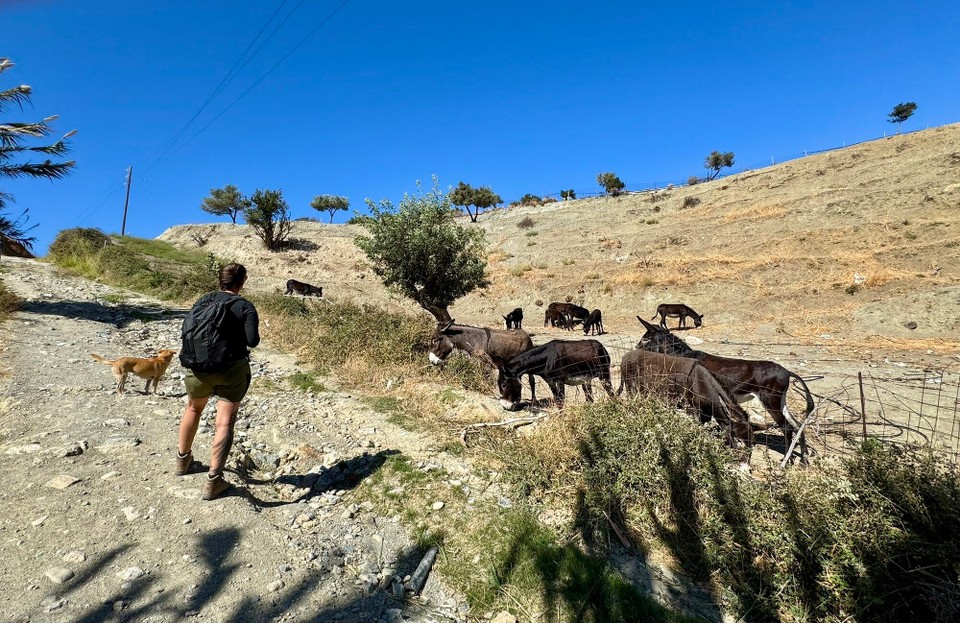 Griechenland - Myrthios - 