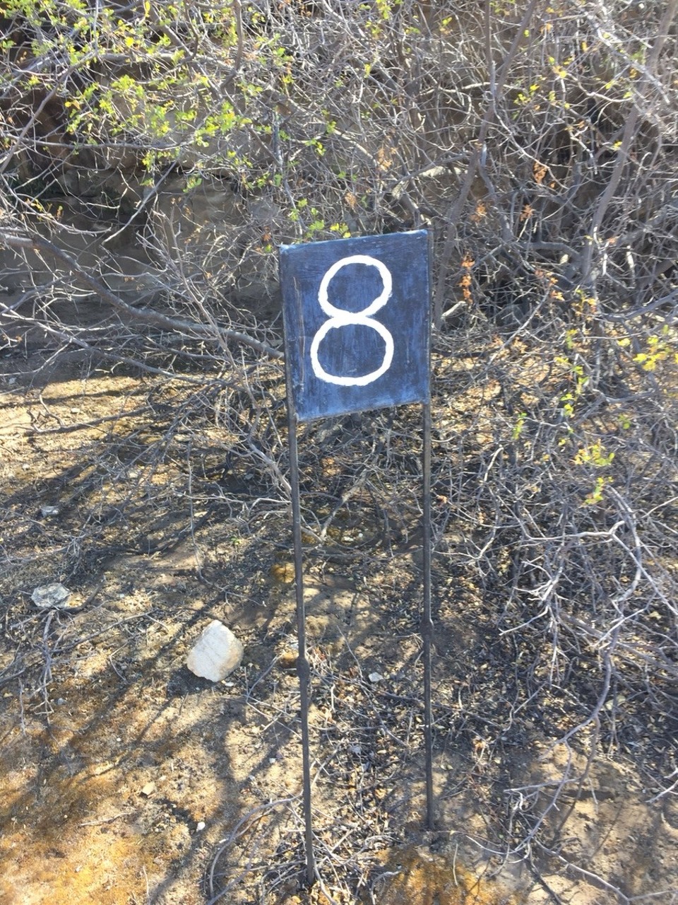 Südafrika - Clanwilliam - Fundstelle 8