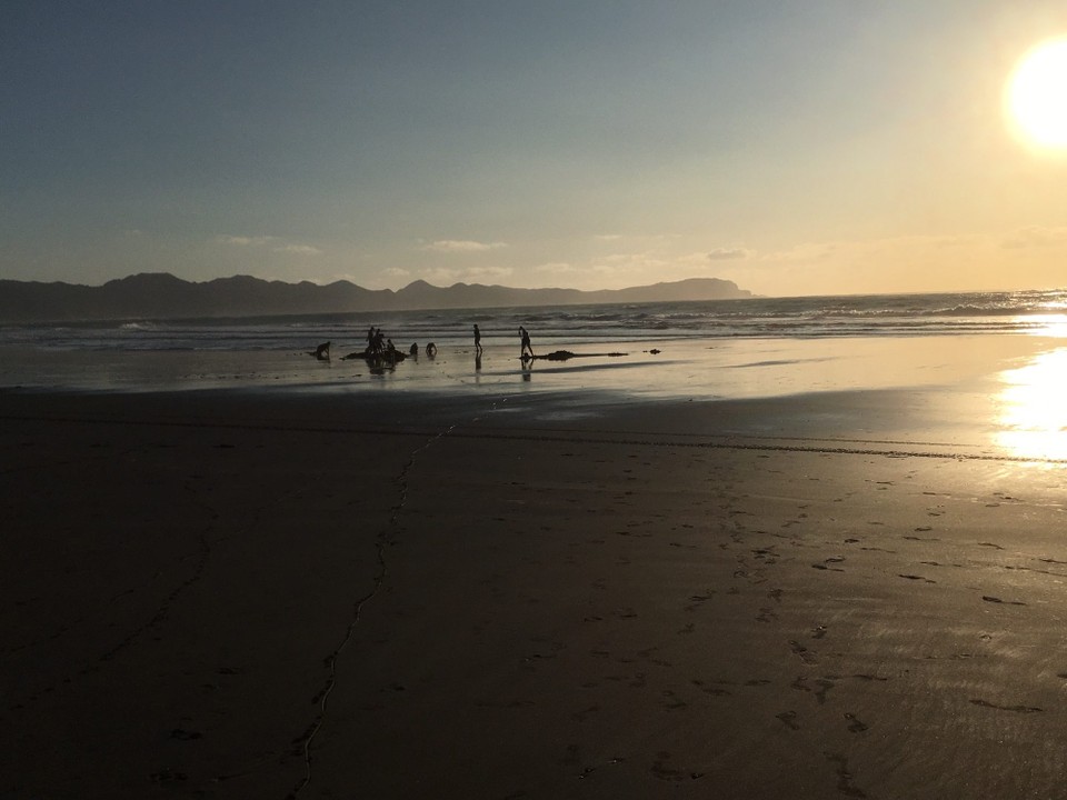 Neuseeland - Kawhia - Und dann finden wir tatsächlich die warmen Stellen. 