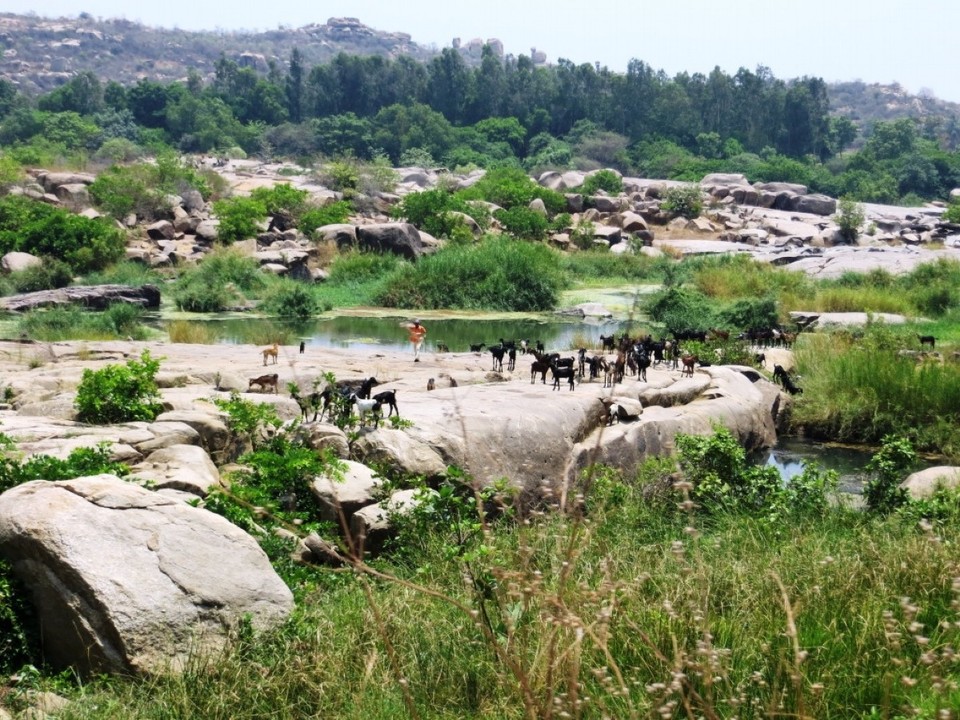 Indien - Hampi - 