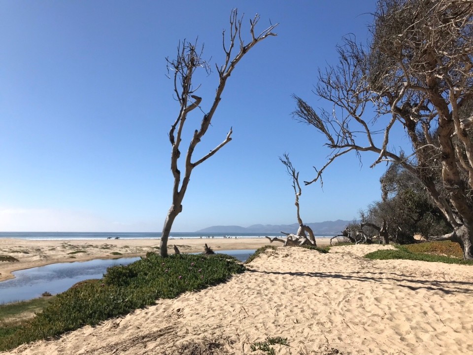 Vereinigte Staaten - Pismo Beach - 