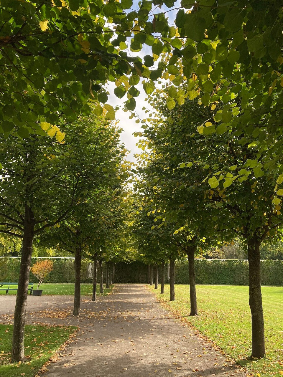 Österreich - Wien - 