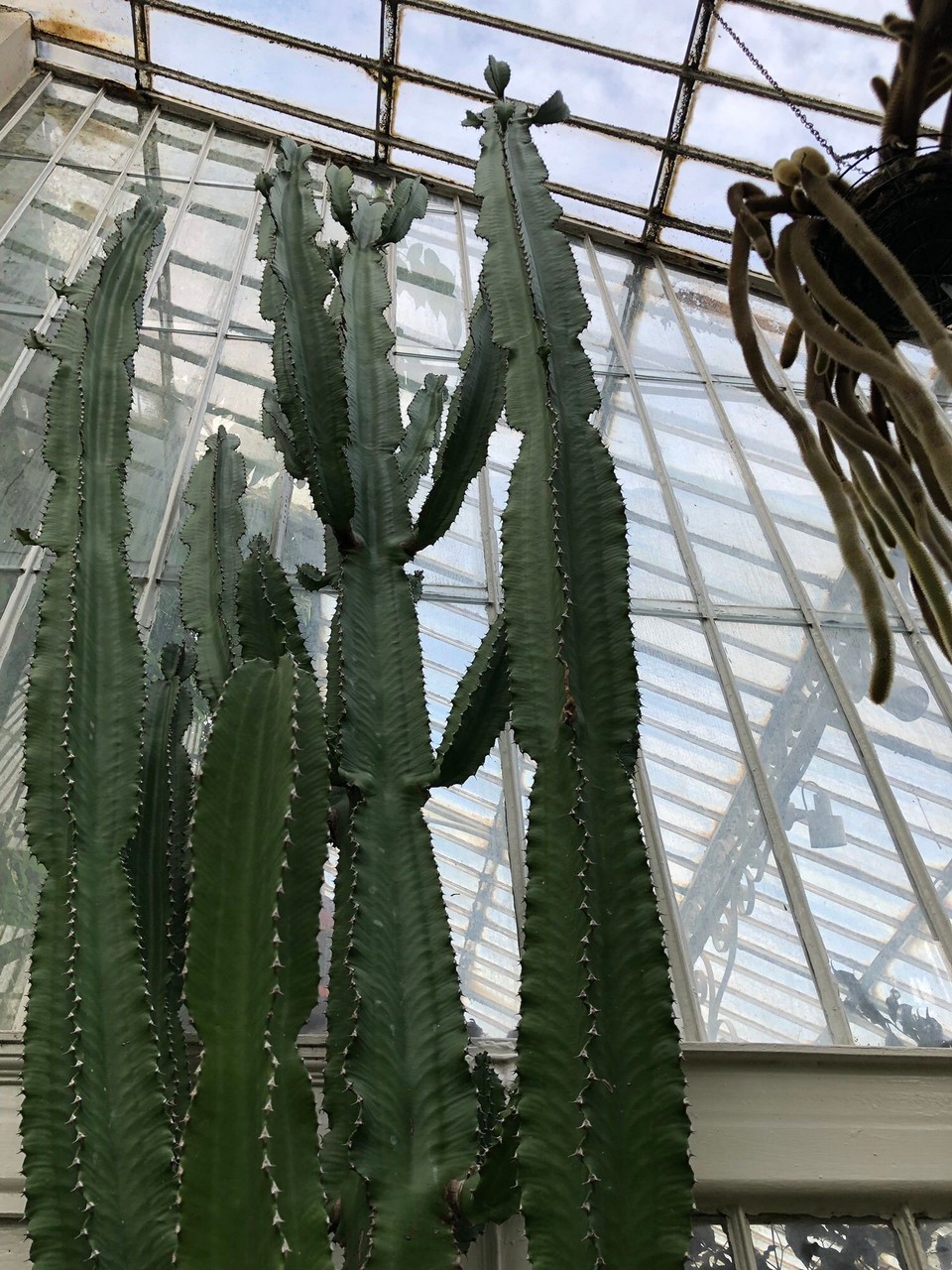 Vereinigtes Königreich - Belfast - 