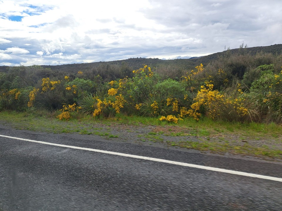Neuseeland - Tongariro - Unterwegs 