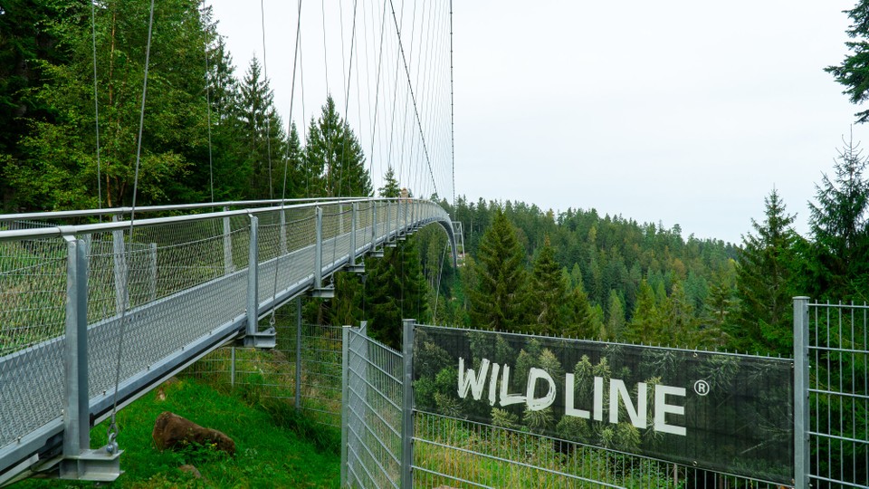 Deutschland - Bad Wildbad - Die Wildline. Eine riesige Hängebrücke. Und sie schwankt wenn man darüber geht. 🌁