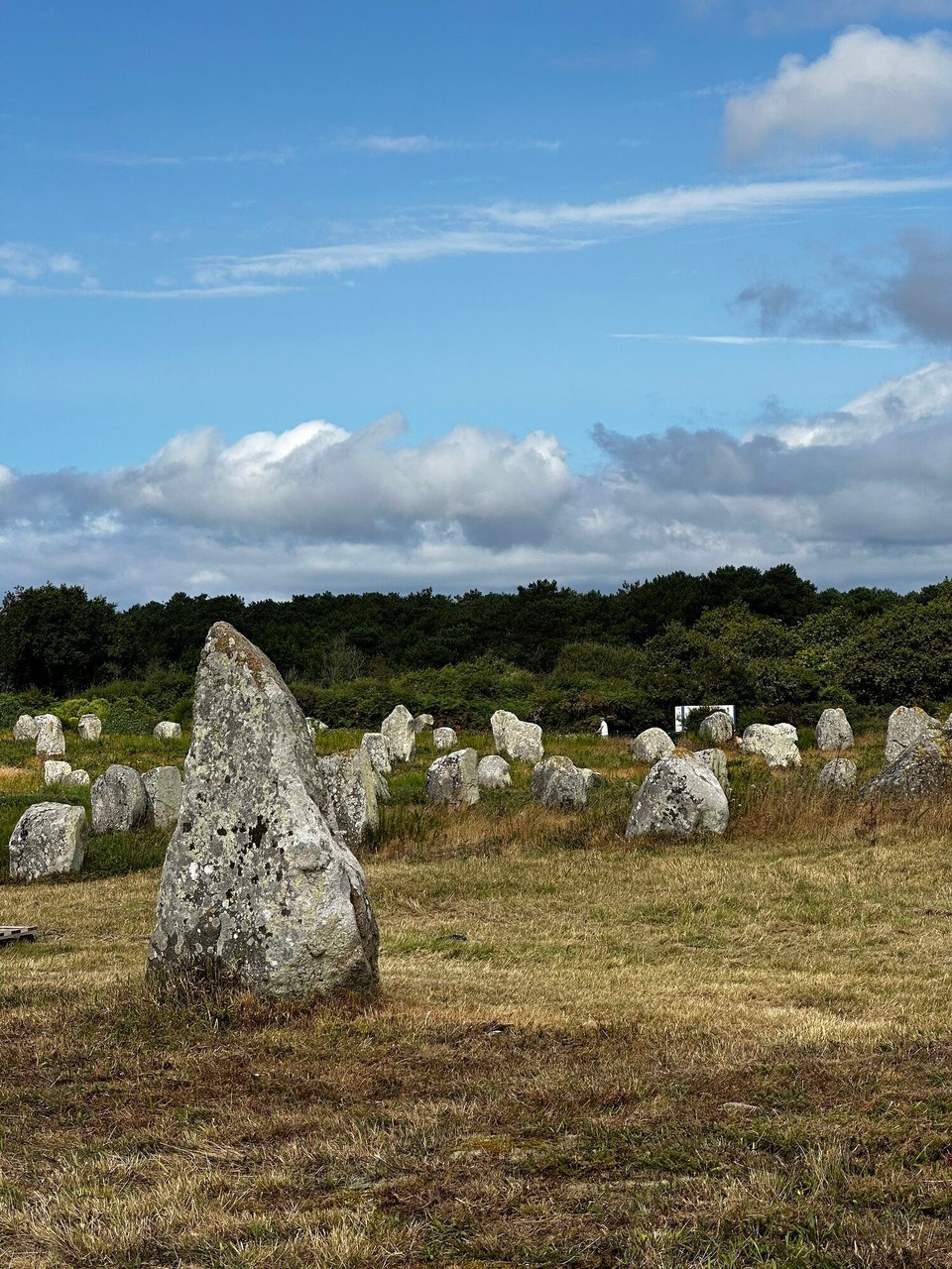 Frankreich - Carnac - 