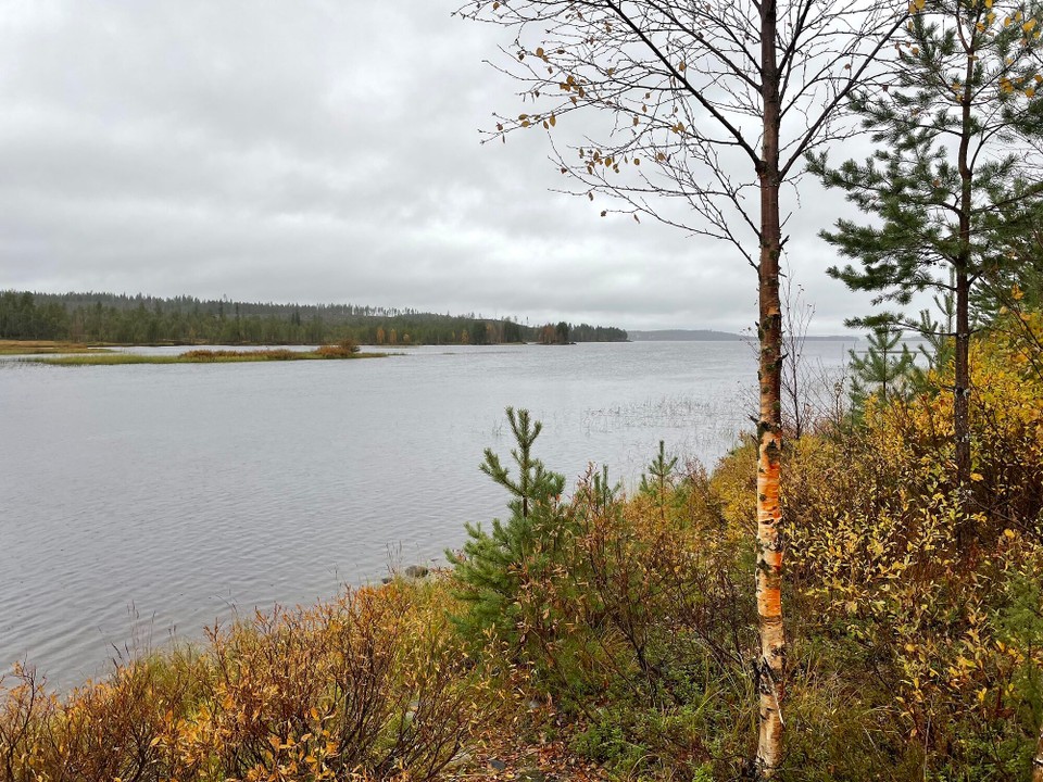 Finnland - Kuusamo - An jeder Ecke ein See 