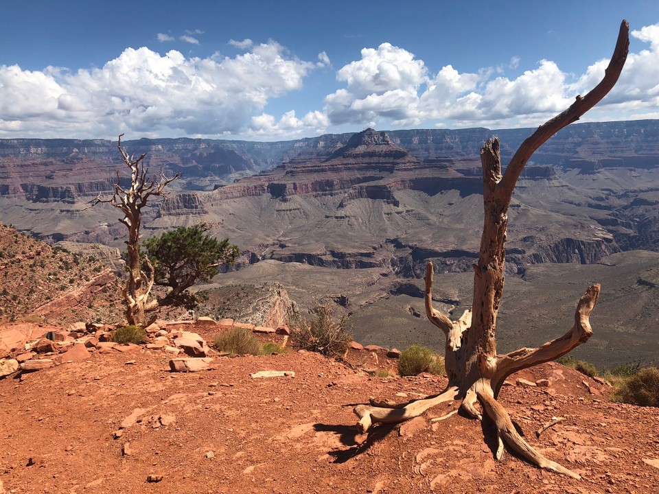 Vereinigte Staaten - Grand Canyon - 