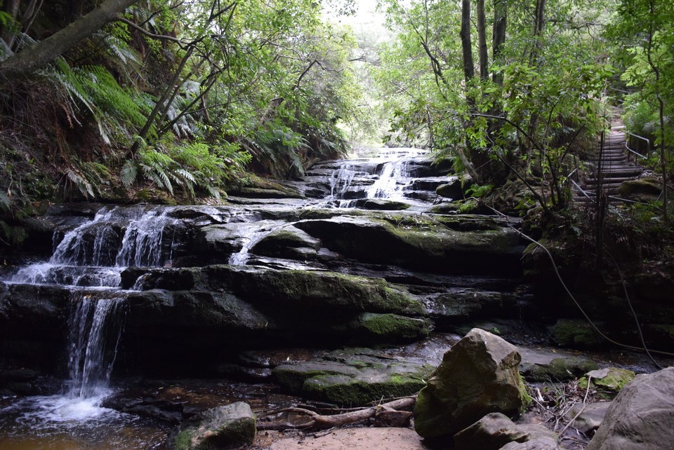 Australien - Wentworth Falls - Leura Cascades