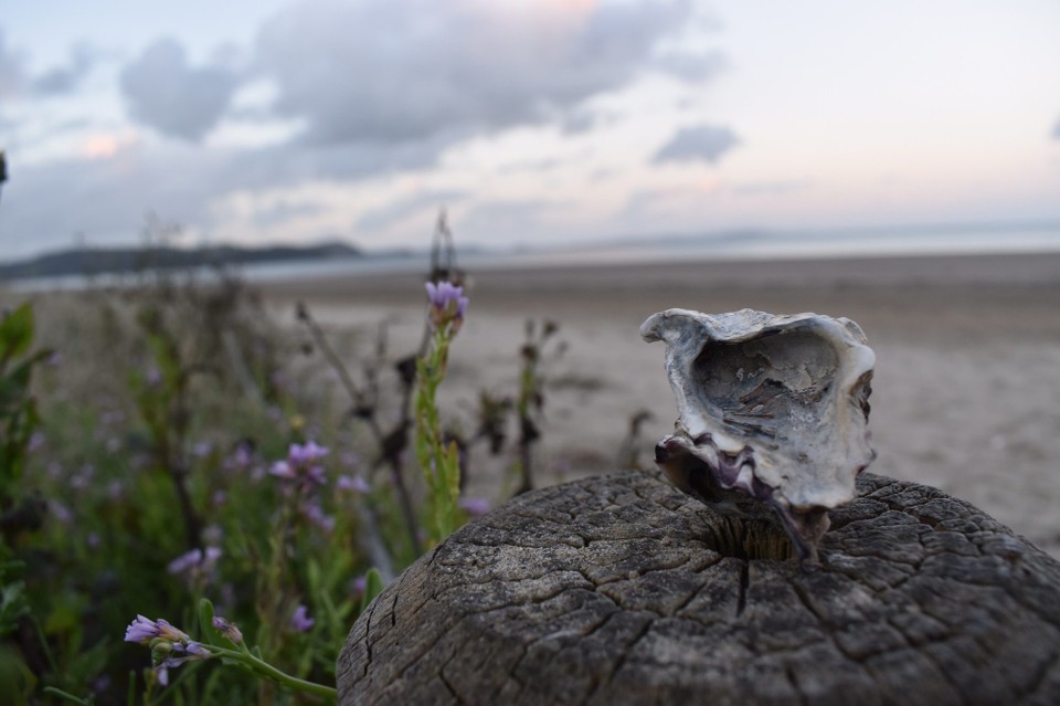 Neuseeland - Orewa - 
