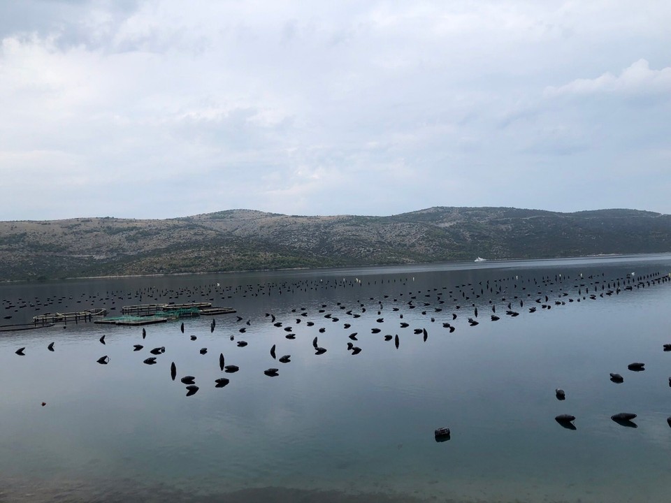 Montenegro - Kotor - 