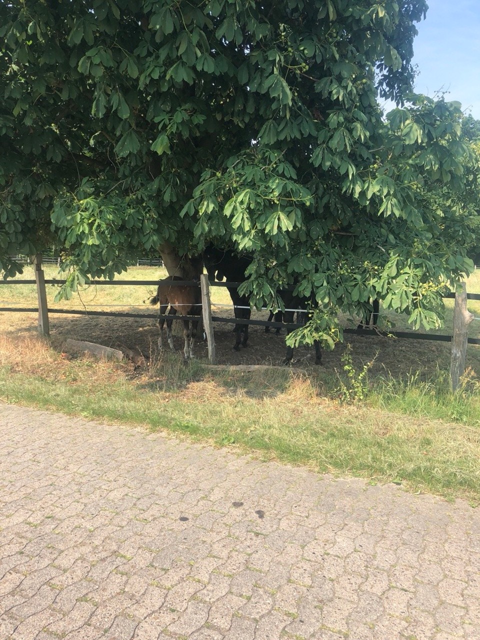 Deutschland - Worpswede - 