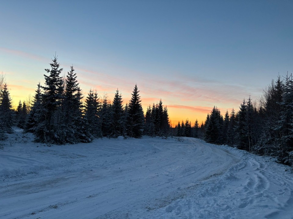 Schweden - Bjästa - 