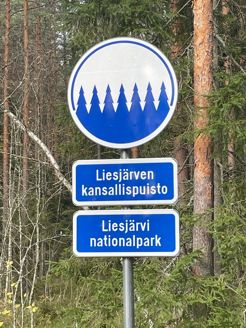 Finnland - Liesjärvi - 